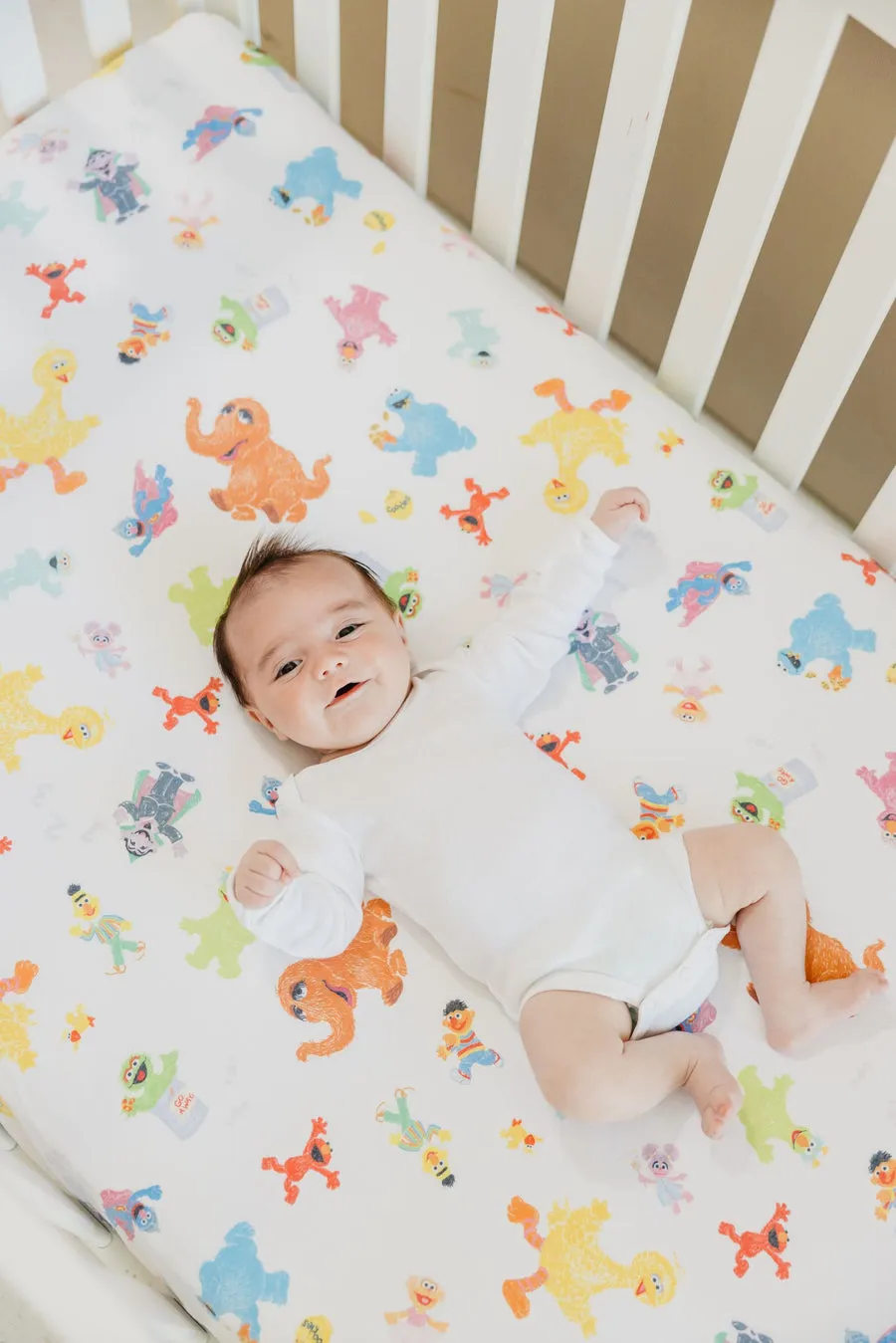 Copper Pearl Sesame Friends Crib Sheet