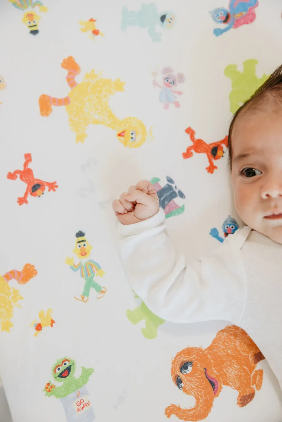 Copper Pearl Sesame Friends Crib Sheet