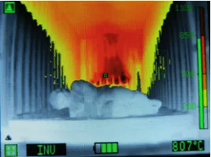 LEADER Thermal Imaging Camera 3.3 - Fire Camera