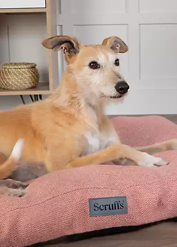 Scruffs Seattle Dog Mattress - Coral | Kaleidoscope